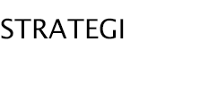 strategi